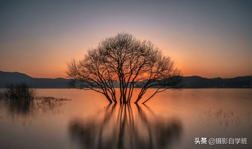 6個風光攝影核心技巧 從拍攝到手機修圖，助你輕松拍出大片